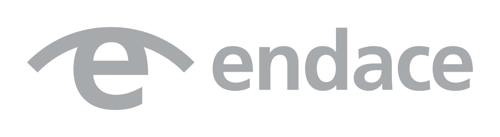 Endace Logo